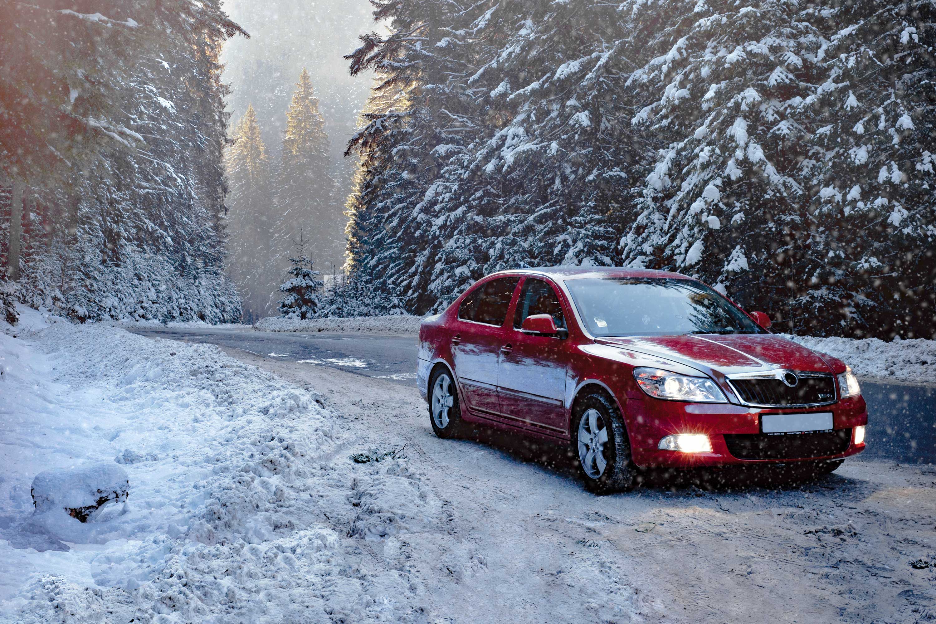 Fearlessly traverse the ice and snow.